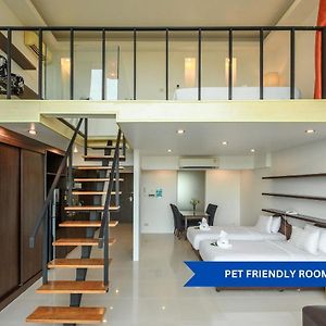 Executive Studio Pet Friendly Room